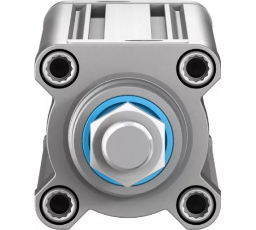 Стандартный пневмоцилиндр Festo DSBC-50-320-PPSA-N3