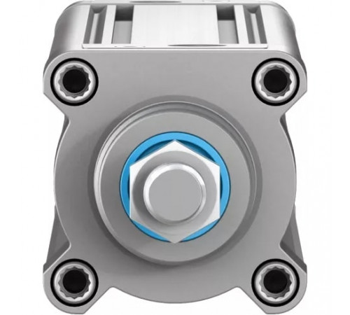 Стандартный пневмоцилиндр Festo DSBC-63-300-PPVA-N3