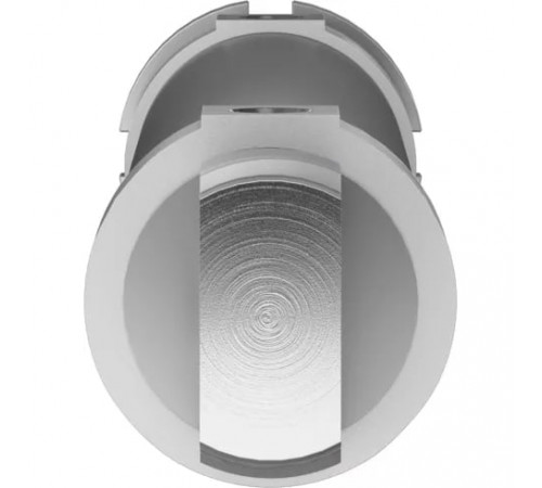 Круглый пневмоцилиндр Festo DSNU-50-250-PPV-A