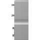 Параллельный набор Festo EAMM-U-86-S48-60P-102