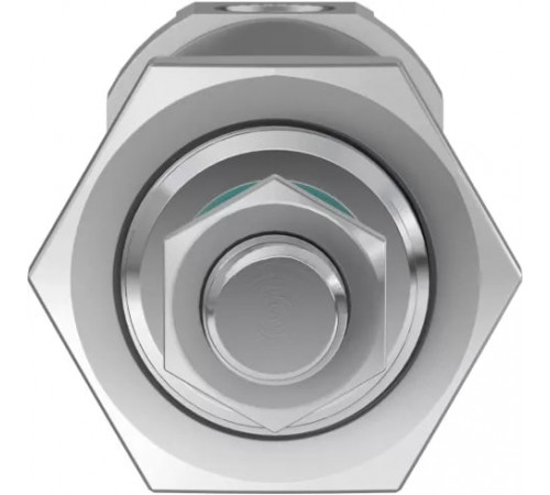 Круглый пневмоцилиндр Festo DSNU-25-30-PPS-A