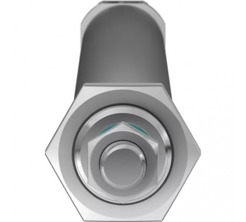 Круглый пневмоцилиндр Festo DSNU-25-320-PPV-A